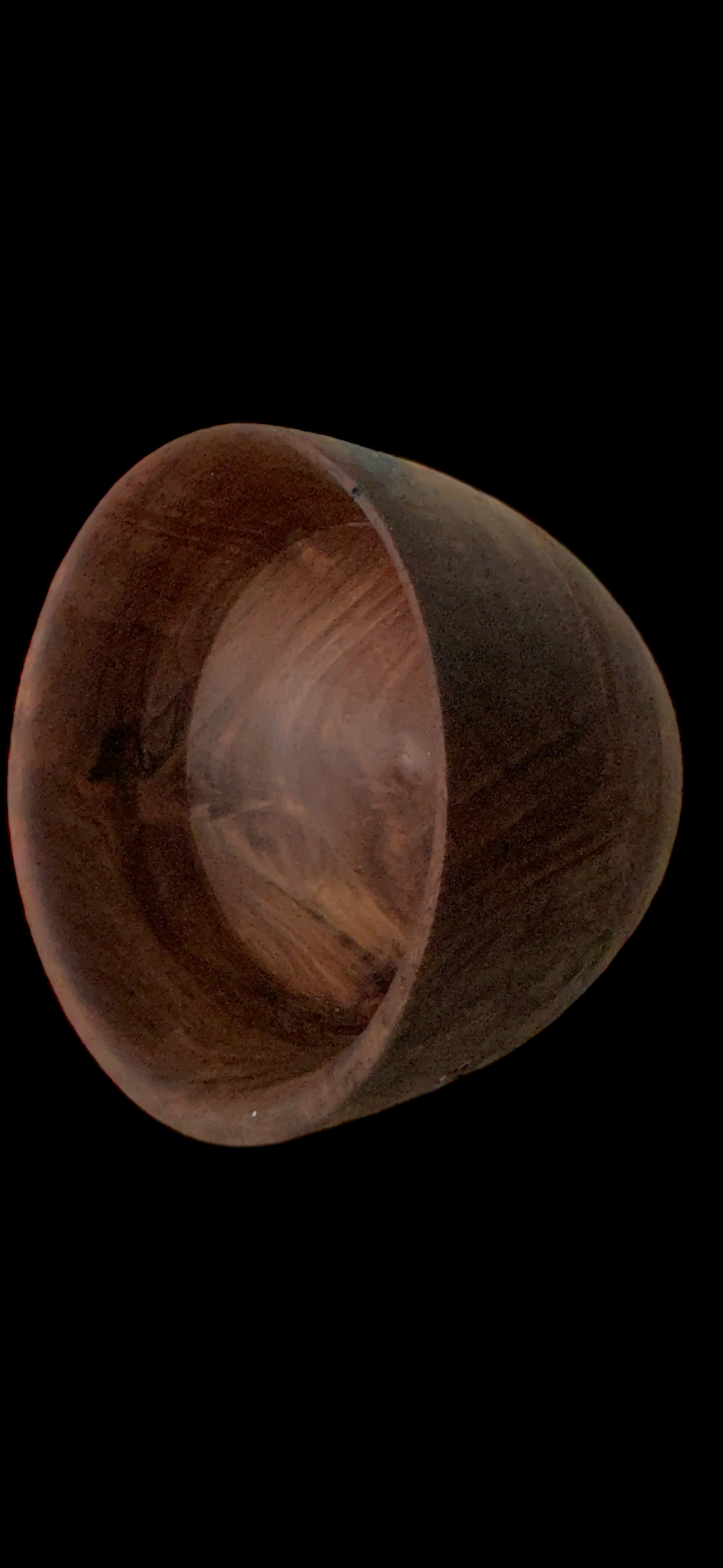 Walnut Bowl