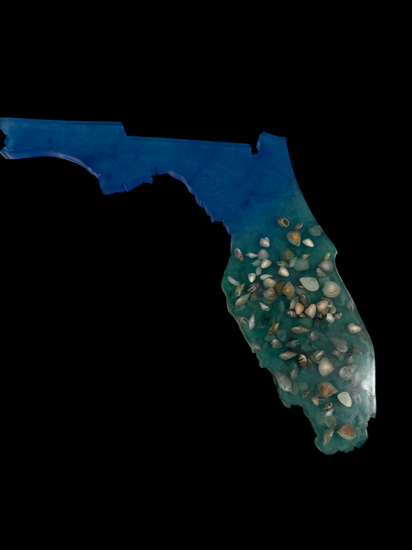Florida SeaShell Blue Green