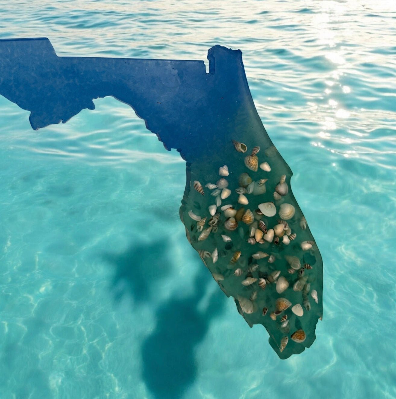 Florida SeaShell Blue Green