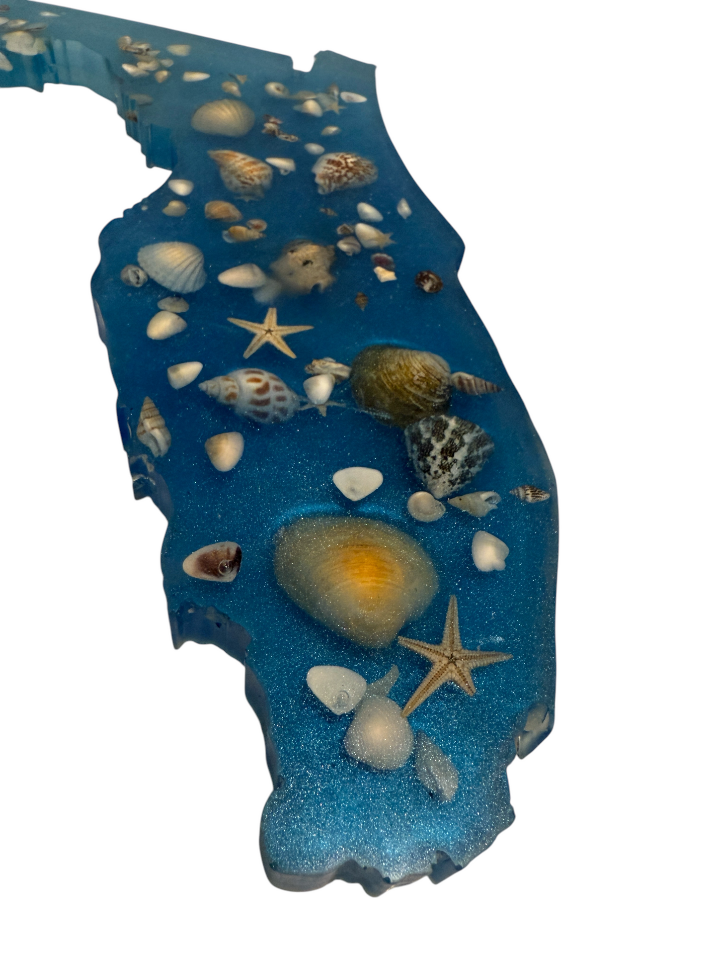 Blue Florida SeaShell