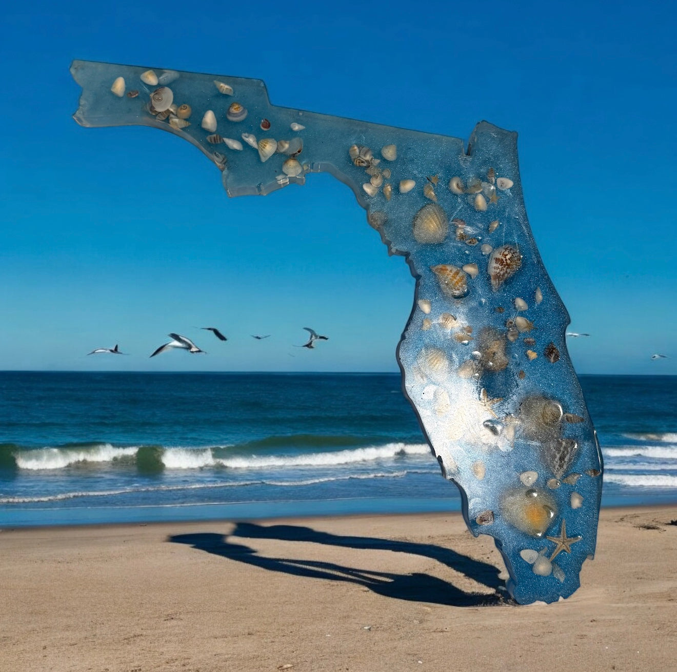 Blue Florida SeaShell